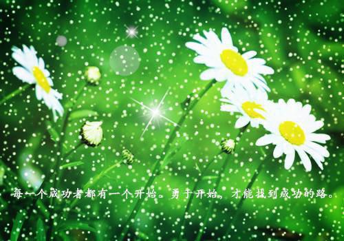她是我的不准碰(夏绾绾江野)全文免费阅读_她是我的不准碰(她是我的不准碰)免费在线阅读_笔趣阁（她是我的不准碰）