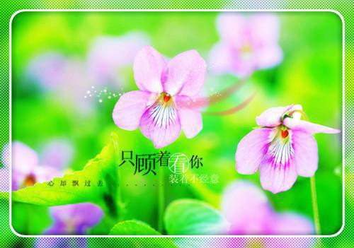 (番外)+(全文浏览)夏天顾承泽肖云启（我选择返城后，未婚夫和竹马都悔疯了：结局+番外）全文免费阅读无弹窗大结局_夏天顾承泽肖云启全文最新章节列表_笔趣阁（我选择返城后，未婚夫和竹马都悔疯了：结局+番外）