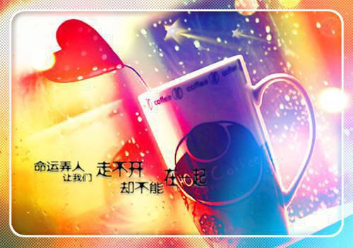 他新婚燕尔我尸沉深海全文免费阅读（他新婚燕尔我尸沉深海小说）全文在线林绾绾谭言西读无弹窗大结局_（林绾绾谭言西全文在线林绾绾谭言西读无弹窗）他新婚燕尔我尸沉深海小说最新章节列表_笔趣阁（林绾绾谭言西）