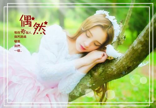 杨洛和苏轻眉（杨洛苏轻眉）全文免费阅读无弹窗_（杨洛和苏轻眉小说全文免费阅读）杨洛和苏轻眉最新章节列表笔趣阁（杨洛苏轻眉）
