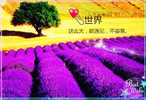 谢照宁时雪（宁时雪谢照）全文免费阅读无弹窗大结局_谢照宁时雪免费最新章节列表_笔趣阁（宁时雪谢照）
