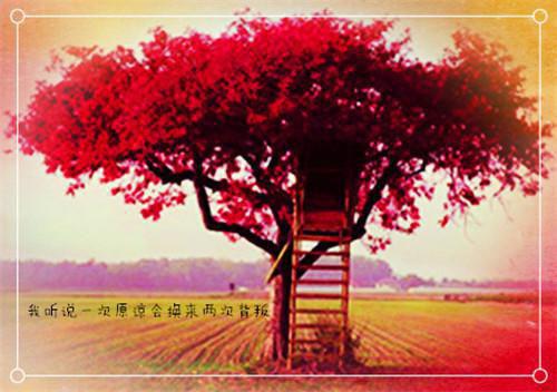真龙无双全本小说真龙无双免费章节阅读