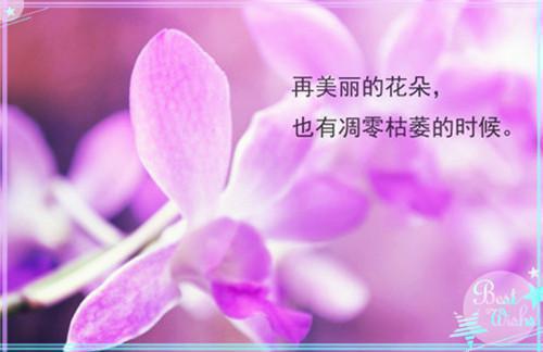 温娆顾琛无弹窗(顾琛温娆)全文在线顾琛温娆读无弹窗大结局_(温娆顾琛无弹窗顾琛温娆)温娆顾琛无弹窗在线顾琛温娆读无弹窗最新章节列表_笔趣阁(顾琛温娆)
