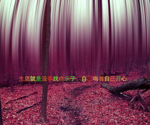 宋蕴蕴江曜景免费全文阅读（宋蕴蕴江曜景小说免费阅读）宋蕴蕴江曜景小说在线阅读_宋蕴蕴江曜景免费阅读-笔趣阁（宋蕴蕴江曜景小说免费阅读）