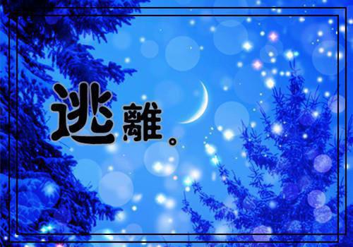 小说爱比玫瑰先枯萎小说(林兮沈霁川)阅读-小说爱比玫瑰先枯萎小说林兮沈霁川全文在线赏析