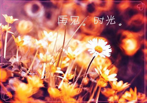 萧瀚博楚兰小说全文免费阅读_（萧瀚博楚兰免费阅读无弹窗）萧瀚博楚兰小说最新章节列表笔趣阁（萧瀚博楚兰）