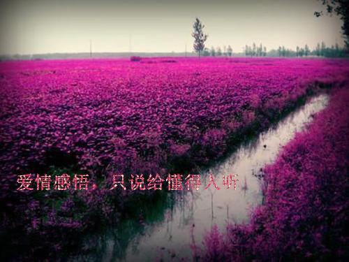 李长寿长孙忌（假皇帝，皇后嫔妃一个个送上门）全文免费阅读无弹窗大结局_（假皇帝，皇后嫔妃一个个送上门）李长寿长孙忌最新章节列表