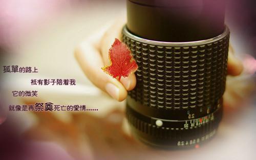 小说深爱真甜贺汀渔（蒋轶津贺汀渔）免费阅读-小说深爱真甜贺汀渔全文在线赏析
