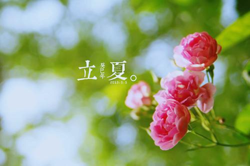 我的青青姐校园小说(关青青陈雅静)全文免费阅读_我的青青姐校园小说全文阅读_笔趣阁（关青青陈雅静）