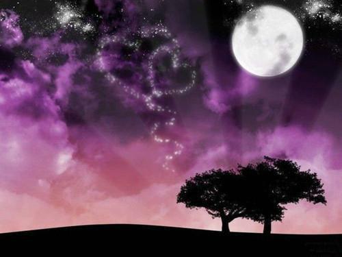 (番外)+(全文)春夜困渡星河阅读_(叶青语陆宴淮)叶青语陆宴淮最新章节列表_笔趣阁（春夜困渡星河）