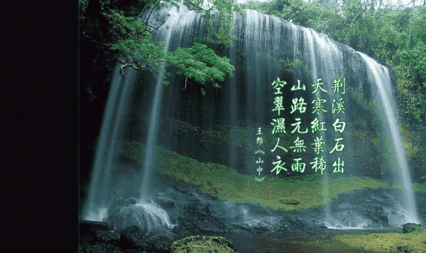 陆邺姜余姜余陆邺完结版全章节阅读