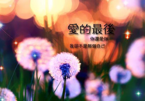 姜棠棠陆安彻（陆安彻姜棠棠）独家首发免费小说-（姜棠棠陆安彻）陆安彻姜棠棠小说全文在线阅读笔趣阁