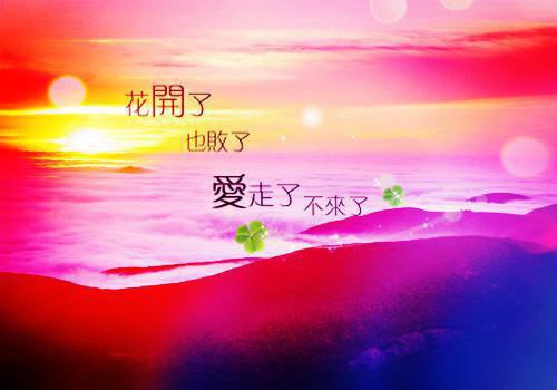 【完整版】（傅新成宋暖小说宋暖傅新成）精彩小说全本资源免费阅读结局无删节_宋暖傅新成全章节阅读