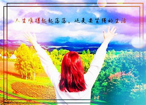 孟晚笙桑仲景在线阅读孟晚笙小说全文免费阅读