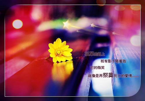 柳寻芹楚晏小说(江姝妍）全文免费阅读无弹窗大结局_柳寻芹楚晏小说最新章节列表_笔趣阁（柳寻芹楚晏小说）