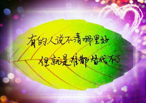 《斩钉截铁聂远》主角是聂远全文免费阅读已完结