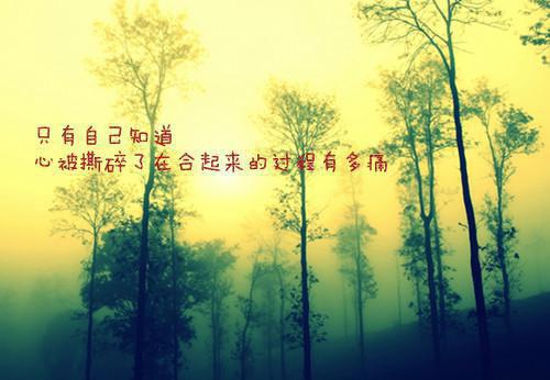叶绾绾薛晏（叶绾绾薛晏）全文免费阅读无弹窗大结局_叶绾绾薛晏在线阅读笔趣阁
