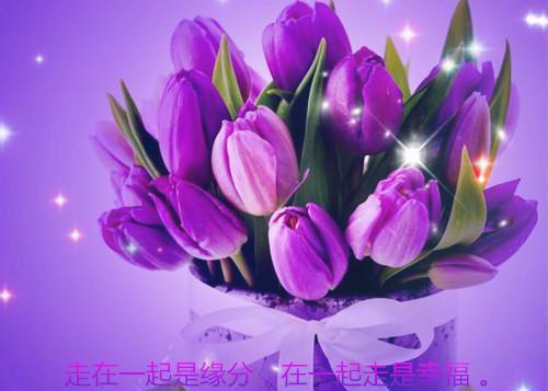 此夜漫漫无尽处花容夜无殇小说_此夜漫漫无尽处完结版阅读