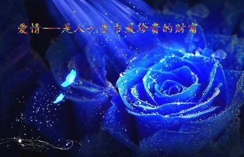 新婚夜，残暴王爷看着我阅读_新婚夜，残暴王爷看着我言情小说全文阅读