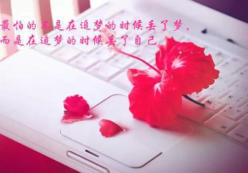 水君的小说_医妃带球跑路计南叶秋顾若霆小说阅读