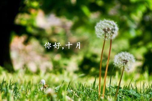 前妻难追，靳总每天都在后悔舒晚意最后结局 前妻难追，靳总每天都在后悔舒晚意完结版免费阅读