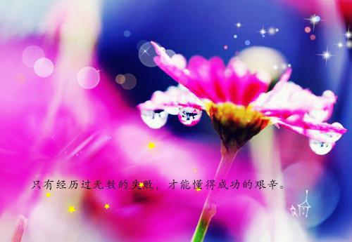 宋知慧沈君桦（重生七零团长追妻路迢迢）全文免费宋知慧沈君桦无弹窗大结局_(重生七零团长追妻路迢迢小说免费宋知慧沈君桦)最新章节列表_笔趣阁（宋知慧沈君桦）