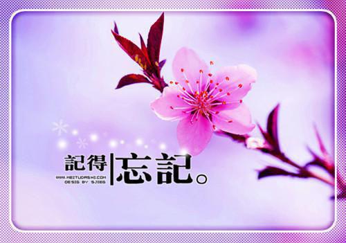 徐嘉胡欣是什么小说_徐嘉胡欣重生后我注销了百万账号小说是《重生后我注销了百万账号小说》