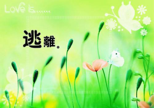 总裁你完了小说(白圆圆纪亦寒)全文免费阅读_总裁你完了小说全文阅读_笔趣阁（白圆圆纪亦寒）