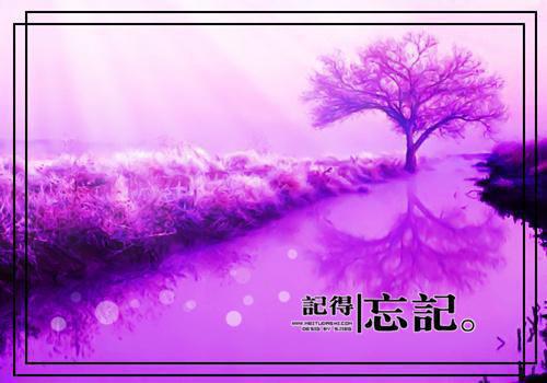 2024年爆款小说（朝朝暮暮与君散小说）陆斐林月雅嘉嘉全文在线完本阅读