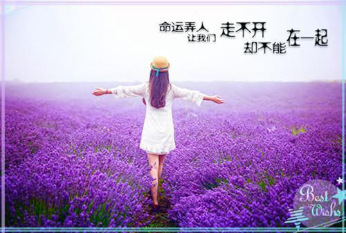 死穴相伴（司年林水婳）小说全文免费_死穴相伴小说全文免费（司年林水婳）最新章节目录笔趣阁（司年林水婳）