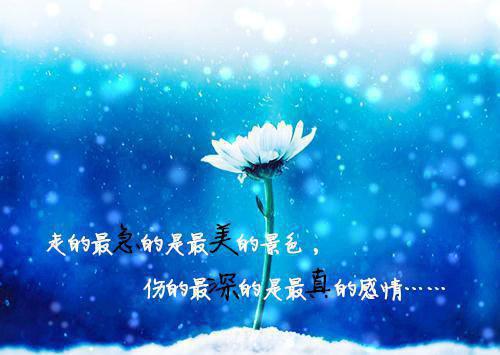 楚斯年苏婉音抖音小说全文免费阅读无弹窗_（楚斯年苏婉音）楚斯年苏婉音抖音小说最新章节列表笔趣阁（楚斯年苏婉音）