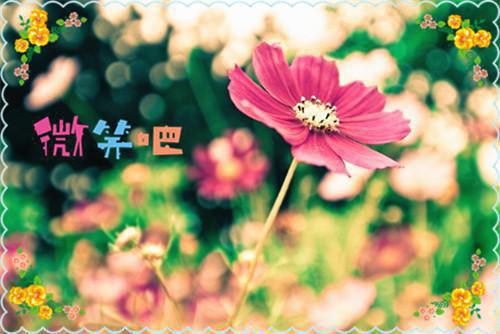 周浮玉毕辰全文免费余爱成烬阅读无弹窗大结局_（余爱成烬小说）周浮玉毕辰最新章节列表笔趣阁（余爱成烬）