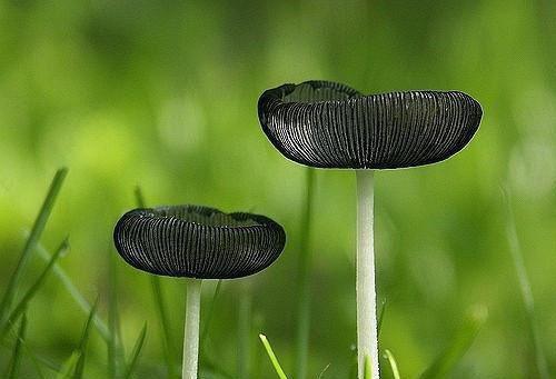 ﻿许秋恬傅景亦（傅景亦许秋恬）全文免费阅读无弹窗大结局_（许秋恬傅景亦）最新章节列表_笔趣阁（傅景亦许秋恬）