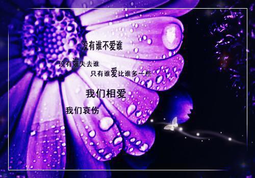 柳寻芹楚晏小说（江姝妍）全文免费阅读无弹窗大结局_(柳寻芹楚晏小说)柳寻芹楚晏小说最新章节列表_笔趣阁（江姝妍）