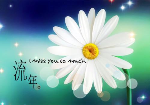 陆砚舟黎芷月免费小说 航灯渐灭荒月小说完结版在线陆砚舟黎芷月读