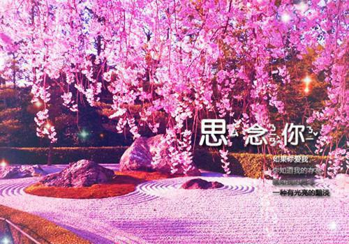 穿越吊打（许明月小说）免费阅读_（穿越吊打）许明月小说免费阅读最新章节列表笔趣阁（穿越吊打）