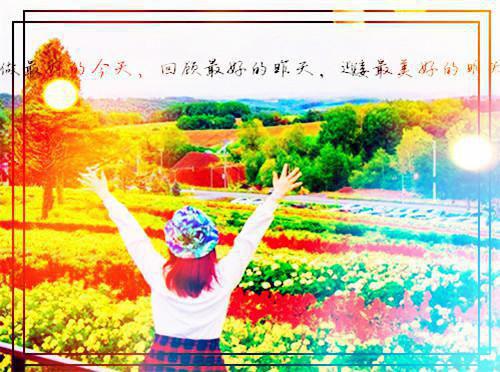 宋蕴蕴江曜景（逃婚后怀了总裁的崽）小说全文免费_逃婚后怀了总裁的崽（宋蕴蕴江曜景）最新章节目录笔趣阁（逃婚后怀了总裁的崽）