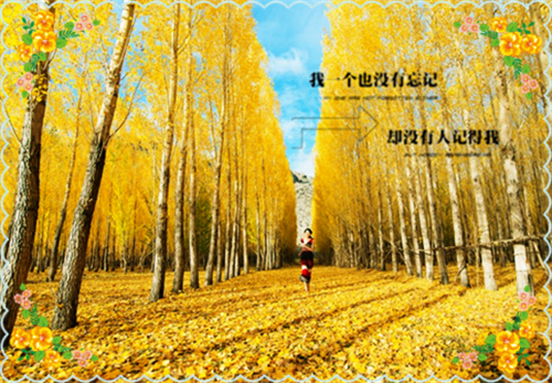 何双江祁洲小说全文免费阅读 （何双江祁洲）免费阅读全文免费阅读无弹窗大结局