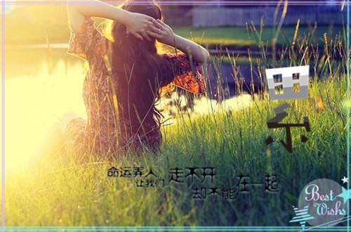 有情必不终老林安宁（林安宁）小说全文免费阅读 有情必不终老林安宁（林安宁）小说免费版最新更新阅读