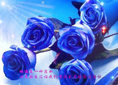 再见江依（再见江依）全文免费阅读无弹窗大结局_（江依苏泽阅读无弹窗）江依苏泽列表_笔趣阁（再见江依）