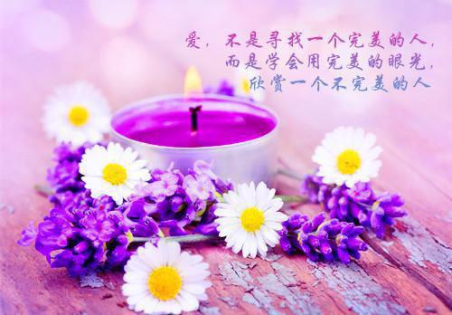 （沈黎顾鸣铮小说）全文免费阅读无弹窗大结局_沈黎顾鸣铮小说最新章节列表_笔趣阁(沈黎顾鸣铮小说）