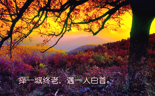 霍太太她又奶又萌全文免费阅读无弹窗_(温知羽霍司砚)霍太太她又奶又萌全文免费阅读无弹窗最新小说_笔趣阁(温知羽霍司砚)