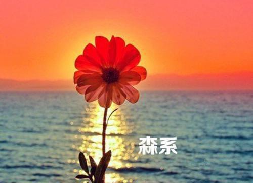 离婚后，我成了前妻高攀不起的神（秦玉洁）全文免费阅读_离婚后，我成了前妻高攀不起的神全文阅读_笔趣阁（秦玉洁）