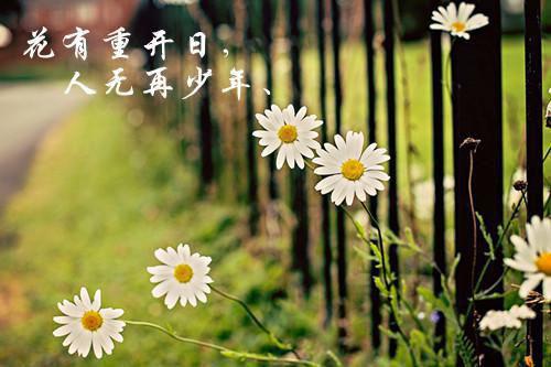 顾云廷宋南薇小说（回忆里爱你）全文免费阅读无弹窗大结局_顾云廷宋南薇全文免费阅读（顾云廷宋南薇）最新章节列表_笔趣阁（顾云廷宋南薇）