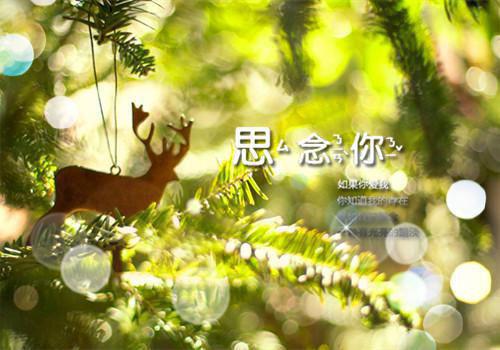 强扭的校草不甜,重逢后她想远离小说全文免费阅读(乔时柠贺霆之)全文在线阅读无弹窗大结局_(强扭的校草不甜,重逢后她想远离小说乔时柠贺霆之)强扭的校草不甜,重逢后她想远离小说在线阅读无弹窗最新章节列表_笔趣阁(乔时柠贺霆之)
