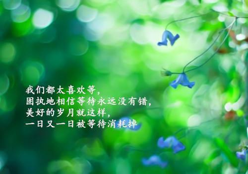 苏青橙裴辰风小说全文免费阅读_（苏青橙裴辰风）苏青橙裴辰风最新章节列表笔趣阁（苏青橙裴辰风）