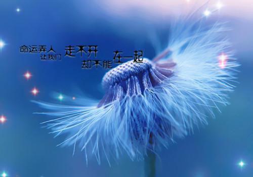 时薇靳燃（靳燃时薇）全文免费阅读无弹窗大结局_靳燃时薇最新章节列表_笔趣阁（时薇靳燃）