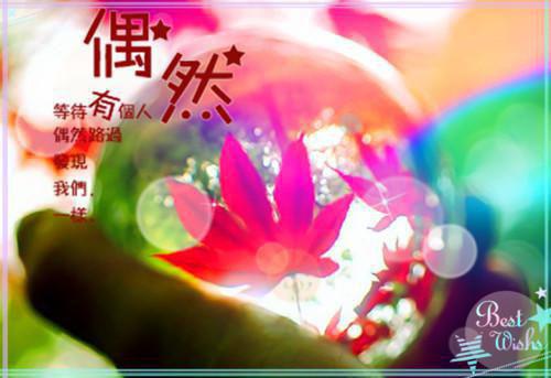 双面实习（宋良方兮兮乔安）已完结，双面实习已完结