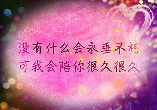 徐锦年宁雪容（宁雪容徐锦年）全文免费阅读无弹窗大结局_（宁雪容徐锦年在线阅读）最新章节列表笔趣阁（宁雪容徐锦年）