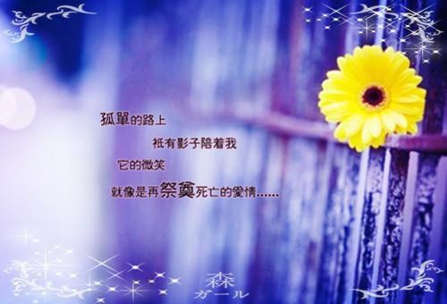 霍太太她又软又萌（温知羽霍司砚）小说全文免费阅读无弹窗_（霍太太她又软又萌）温知羽霍司砚小说全文免费阅读最新章节列表笔趣阁（霍太太她又软又萌）